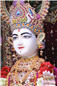 Abhishek (202).jpg